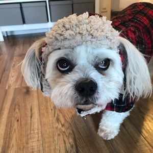 Meet your Posher, Tracy